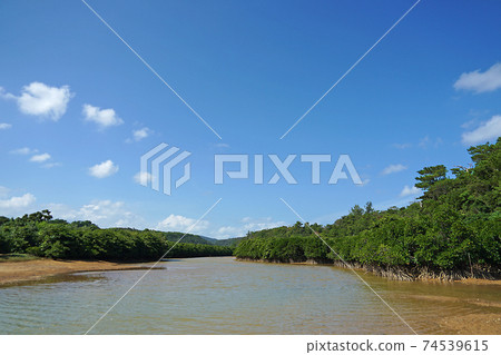 Okinawa Prefecture Higashimura Fureai Hirugi Park 74539615