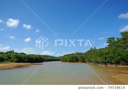 Okinawa Prefecture Higashimura Fureai Hirugi Park Okinawa Prefecture Higashimura Fureai Hirugi Park 74539619