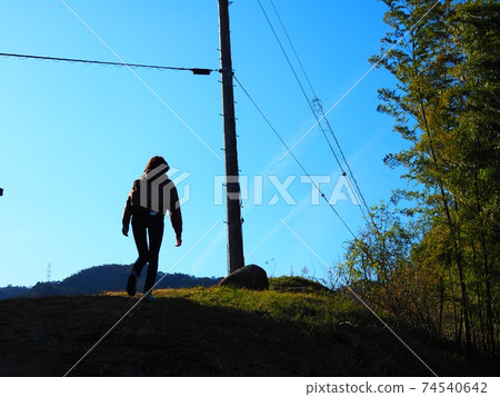 A walk on a sunny day A walk on a sunny day 74540642