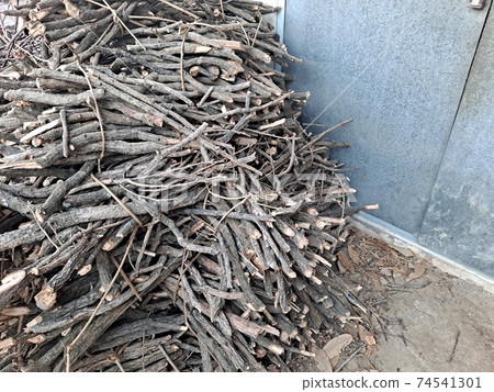 Stacked tree branches and blue iron gates Stacked tree branches and blue iron gates 74541301