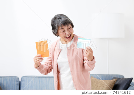 有存摺和退休金書的高級婦女 有存摺和退休金書的高級婦女 74541612