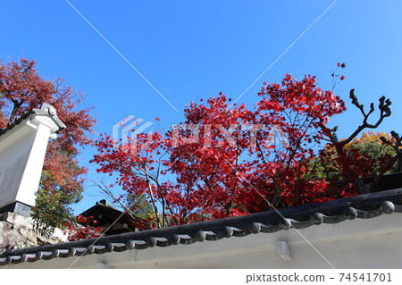 Kiyoshikojin Autumn Leaves Takarazuka [Hyogo Prefecture] 74541701