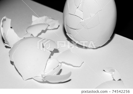 Egg shell Egg shell 74542256
