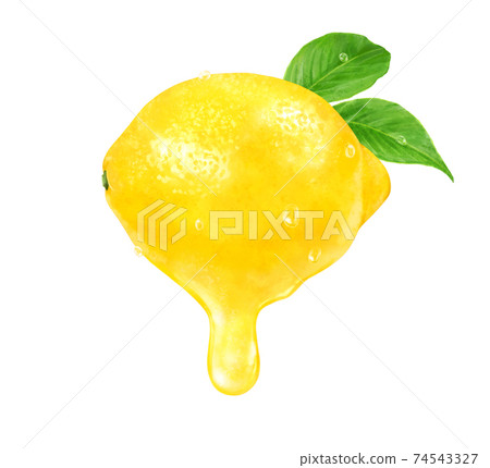 Illustration of fresh ripe lemon and fruit juice 74543327