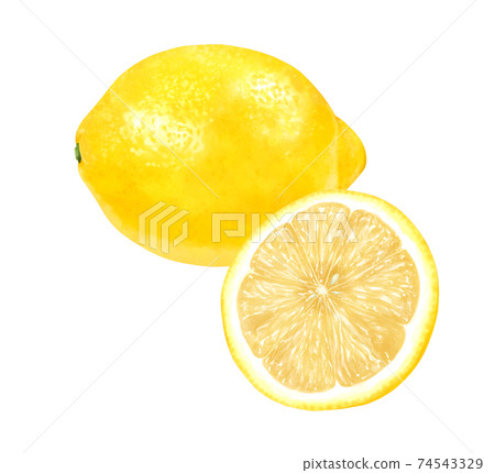 Realistic illustration of one and half of lemons 74543329