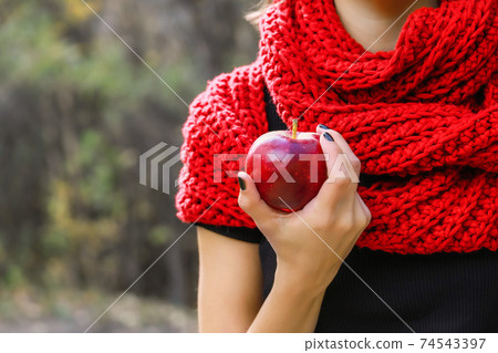 A large ripe apple in a woman hand on a background of a red scarf A large ripe apple in a woman hand on a background of a red scarf 74543397