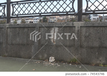 Corrosion rupture of concrete rebar Corrosion rupture of concrete rebar 74543746