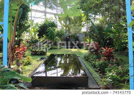 Flower Center Kasai [Hyogo Prefecture] 74543770