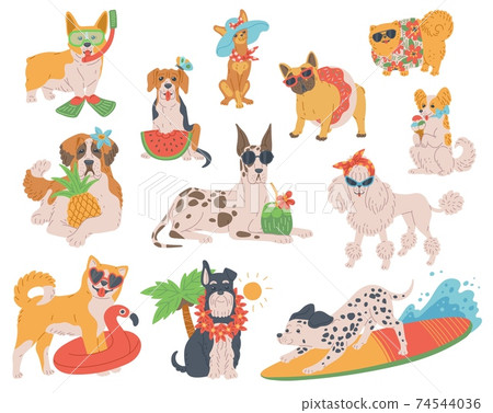 Set of funny dogs on summer vacation flat vector illustration isolated on white. 74544036