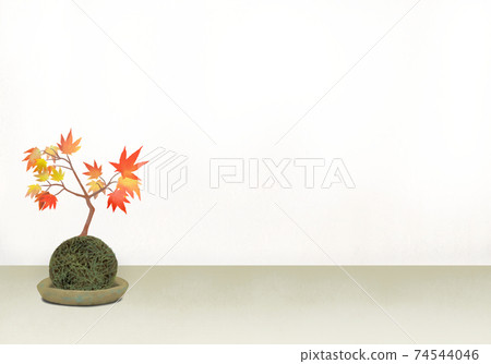 簡單的白色房間,擁有明亮自然的氛圍和楓木盆景苔蘚球(用澀色裝飾陶器) 簡單的白色房間,擁有明亮自然的氛圍和楓木盆景苔蘚球(用澀色裝飾陶器) 74544046