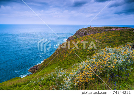 Colorful flowery fields on the slopes with rocky coastline, France  74544231