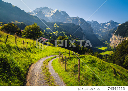 Green fields and snowy mountains, Wengen resort, Lauterbrunnen valley, Switzerland 74544233