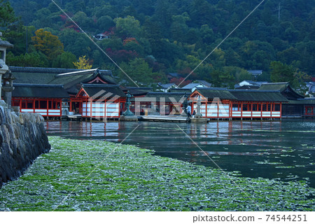 Early morning scenery of Miyajima / Itsukushima Shrine in Hiroshima Prefecture Early morning scenery of Miyajima / Itsukushima Shrine in Hiroshima Prefecture 74544251