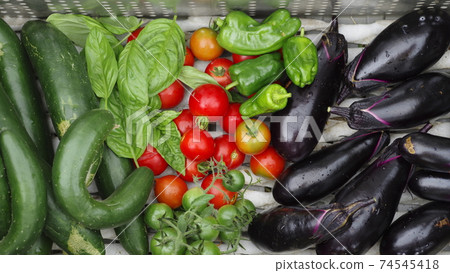Pesticide-free vegetables 74545418