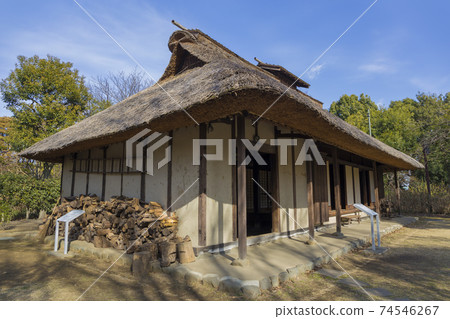 茅草屋頂的舊民居，當地森林，民居，舊民居 74546267