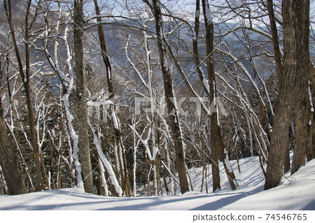 Ochikura Plateau Mt. Asama Snowshoe Hiking Hakuba Village, Nagano Prefecture Ochikura Plateau Mt. Asama Snowshoe Hiking Hakuba Village, Nagano Prefecture 74546765