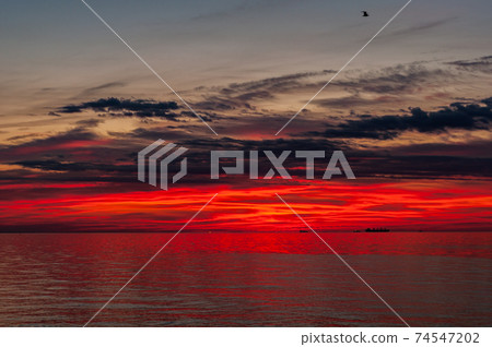 Colorful morning, bright crimson-red sunrise, Dark cirrus clouds in morning sky, horizon with ships in roadstead, smooth sea surface. 74547202