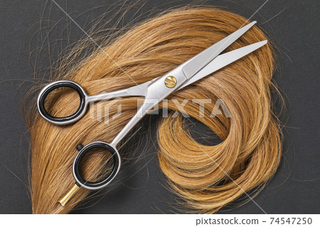 Scissors and hair blond in color on a dark background, top view. The concept of hairdressing services Scissors and hair blond in color on a dark background, top view. The concept of hairdressing services 74547250