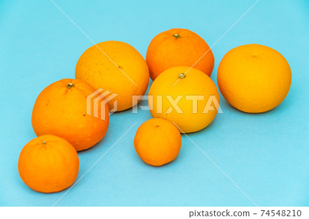 Spring citrus fruits from Wakayama prefecture Spring citrus fruits from Wakayama prefecture 74548210