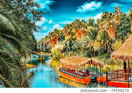 Beautiful landscape of humid tropical jungle. 74548279