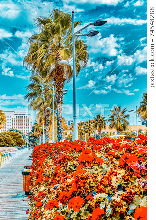 Cityscape of Valencia - third size population  city in Spain. 74548288