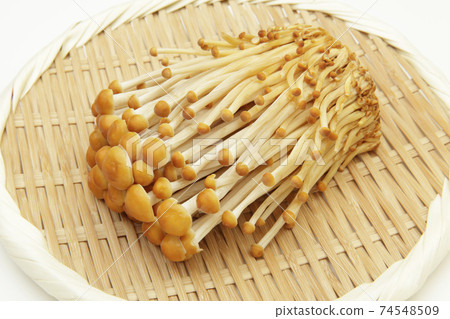Tea enoki mushroom 74548509