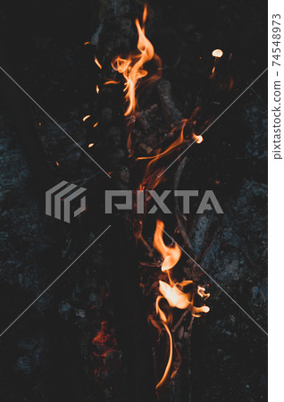 Cozy campfire in forest in nature. charred branches tree, burning wood, small bright flame fire. Summer camping,  74548973