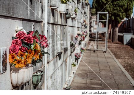plastic flower bouquet on urne wall at cemetery plastic flower bouquet on urne wall at cemetery 74549167