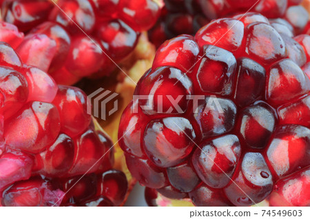 Pomegranate 74549603