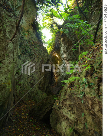 Limestone caves in Banpingshan 74549629