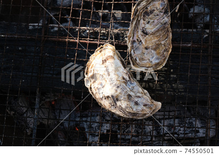Charcoal-grilled oysters with shells Charcoal-grilled oysters with shells 74550501