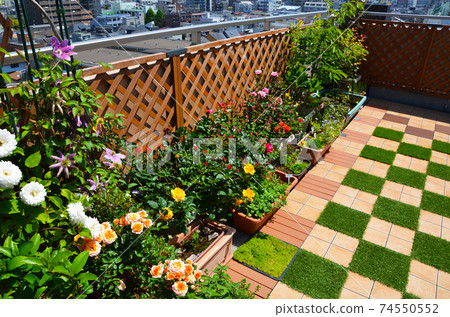 A lot of gardening flowers on the roof balcony Flower garden A lot of gardening flowers on the roof balcony Flower garden 74550552