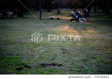 傍晚公園，陽光柔和 74550881