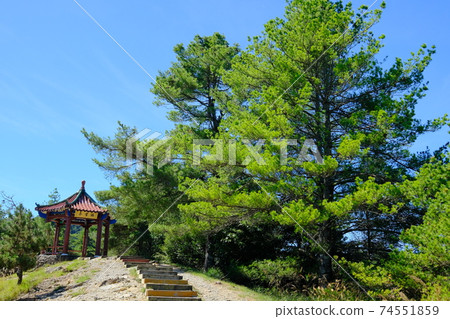 森林公路 74551859