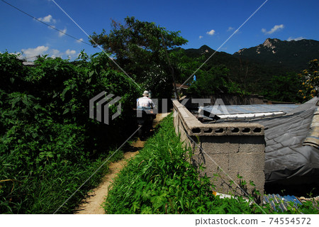 Jeongneunggol, four seasons, snow scenes, alleyways, autumn Jeongneunggol, four seasons, snow scenes, alleyways, autumn 74554572
