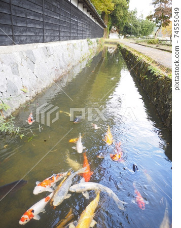 Watanabe House [Sekikawa Village, Niigata Prefecture] 74555049