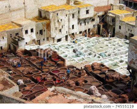 Leather tanneries in Fez, Morocco 74555119