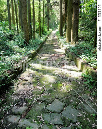 走“草間之道”（熊本縣玉名市） 74555305