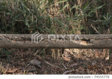 Corrosion rupture of concrete rebar Corrosion rupture of concrete rebar 74555770