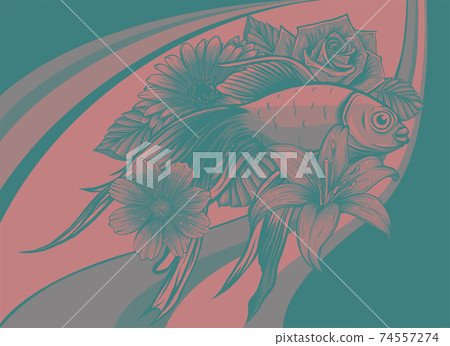 vector illustration of japanese koi fish with flower 74557274