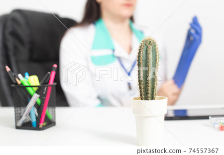 A large cactus stands against the background of a doctor wearing a glove. The concept of rectal pain, hemorrhoids, anal itching, proctology 74557367