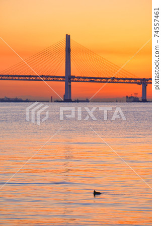 Yokohama Port (Sunrise, Yokohama Bay Bridge) 74557461