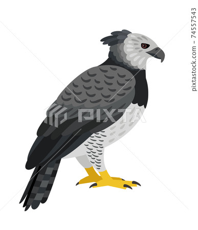 Dangerous bird vector character 74557543