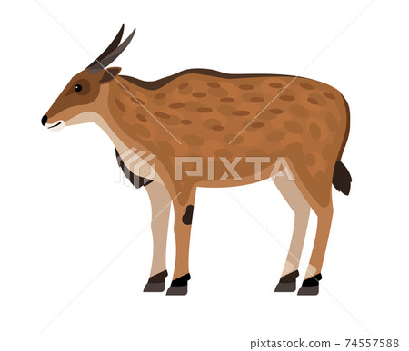 Antelope with horns 74557588