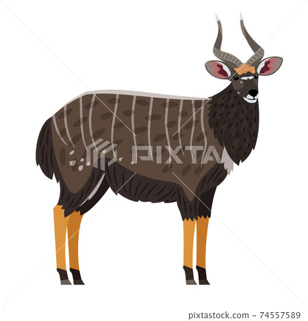 African Antelope cartoon icon African Antelope cartoon icon 74557589