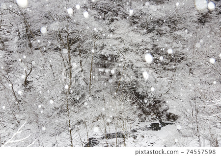 Snow scene in the Taba Valley, Tabayama Village, Yamanashi Prefecture, January Snow scene in the Taba Valley, Tabayama Village, Yamanashi Prefecture, January 74557598