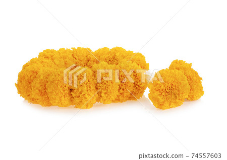 Thai flower garlands isolated on white Thai flower garlands isolated on white 74557603