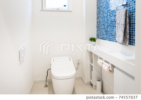 Clean toilet photos in new home 74557837