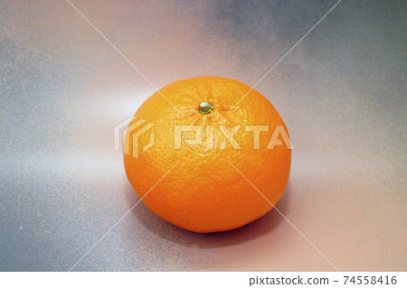 Mandarin orange Hamasaki brand citrus from Saga prefecture 74558416