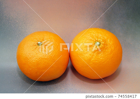 Mandarin orange Hamasaki brand citrus from Saga prefecture 74558417
